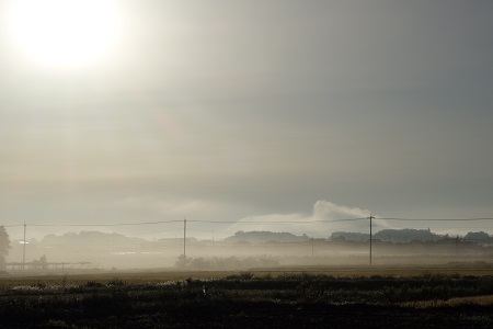 �������тƁ^�y�v�җL�q(�ӂ��키��)