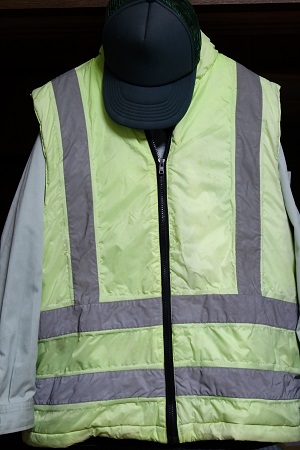 �������тƁ^�y�v�җL�q(�ӂ��키��)