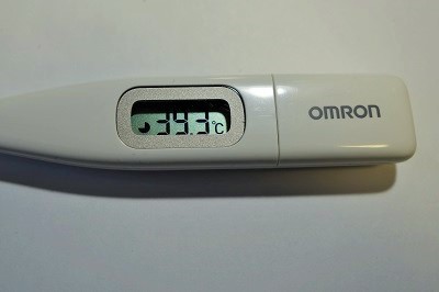 �������тƁ^�y�v�җL�q(�ӂ��키��)