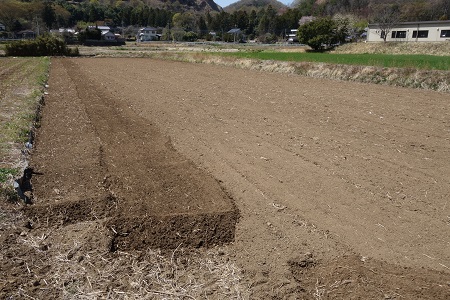 �������тƁ^�y�v�җL�q(�ӂ��키��)