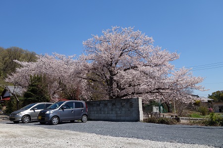 �������тƁ^�y�v�җL�q(�ӂ��키��)