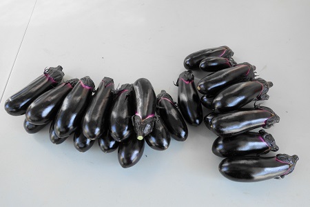 �������тƁ^�y�v�җL�q(�ӂ��키��)