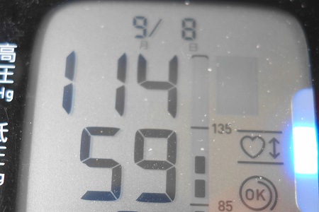 �������тƁ^�y�v�җL�q(�ӂ��키��)