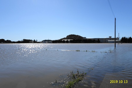 �������тƁ^�y�v�җL�q(�ӂ��키��)