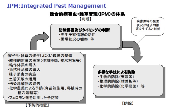 �������тƁ^�y�v�җL�q(�ӂ��키��)