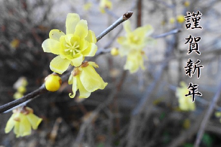 �������тƁ^�y�v�җL�q(�ӂ��키��)