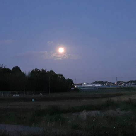 �������тƁ^�y�v�җL�q(�ӂ��키��)