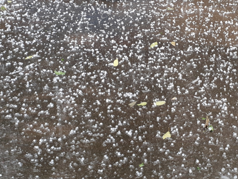 �������тƁ^�y�v�җL�q(�ӂ��키��)