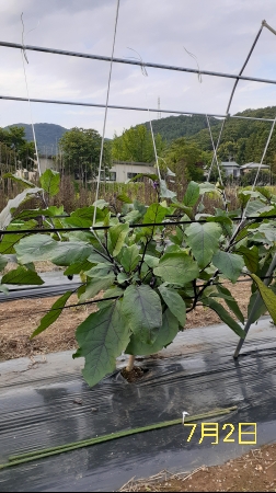 �������тƁ^�y�v�җL�q(�ӂ��키��)