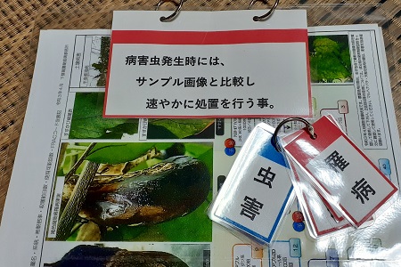 �������тƁ^�y�v�җL�q(�ӂ��키��)