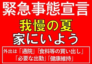 �������тƁ^�y�v�җL�q(�ӂ��키��)