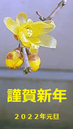 �������тƁ^�y�v�җL�q(�ӂ��키��)