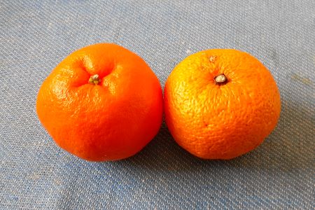 �������тƁ^�y�v�җL�q(�ӂ��키��)