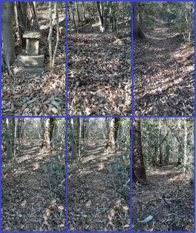 �������тƁ^�y�v�җL�q(�ӂ��키��)