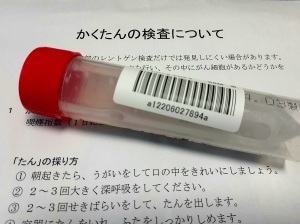 �������тƁ^�y�v�җL�q(�ӂ��키��)