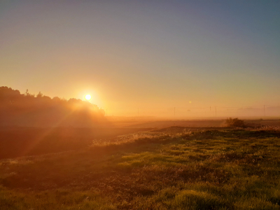 �������тƁ^�y�v�җL�q(�ӂ��키��)