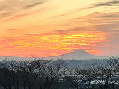 �������тƁ^�y�v�җL�q(�ӂ��키��)