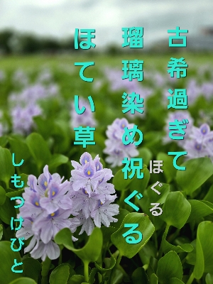 ڗF̕z܈yށiтƁ^yvҗLq(ӂ키)j