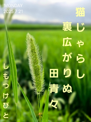 тƁ^yvҗLq(ӂ키)