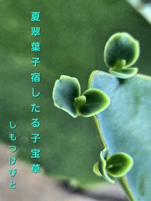 тƁ^yvҗLq(ӂ키)
