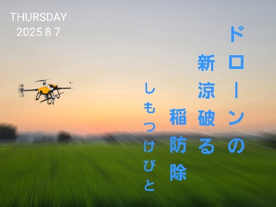 тƁ^yvҗLq(ӂ키)