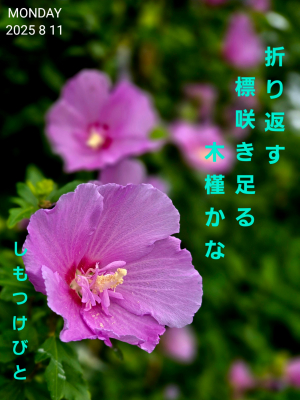 U̖؞ۂł@Kr2025/08/11iтƁ^yvҗLq(ӂ키)j