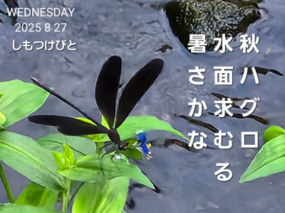 тƁ^yvҗLq(ӂ키)
