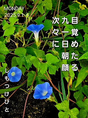 тƁ^yvҗLq(ӂ키)