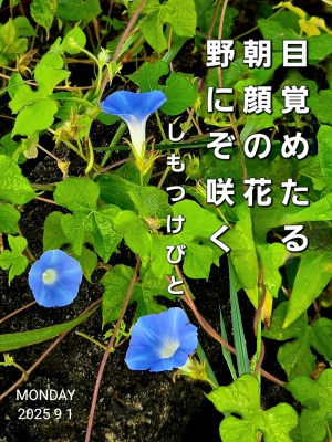 тƁ^yvҗLq(ӂ키)