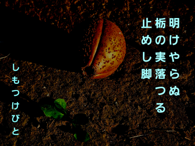 тƁ^yvҗLq(ӂ키)
