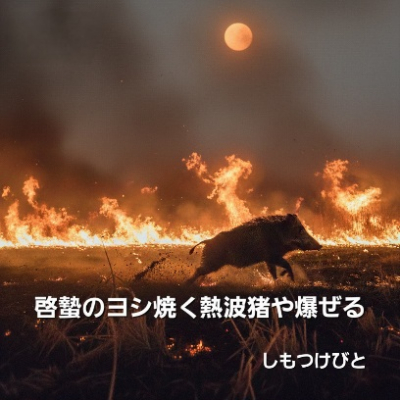 �������тƁ^�y�v�җL�q(�ӂ��키��)