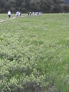 ������������⋆LBH⋆