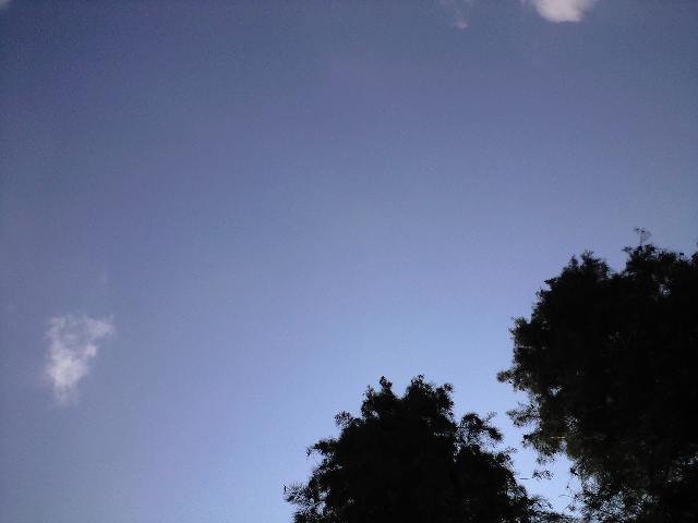 ������������⋆LBH⋆