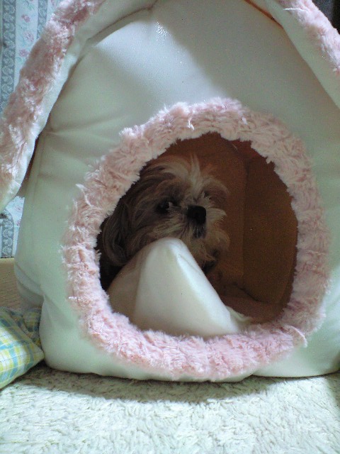 ������������⋆LBH⋆