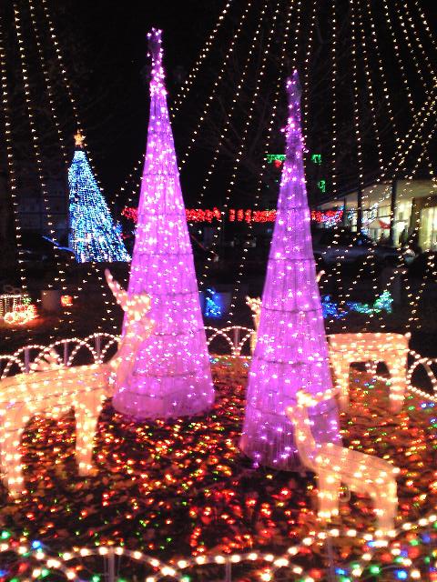 ������������⋆LBH⋆