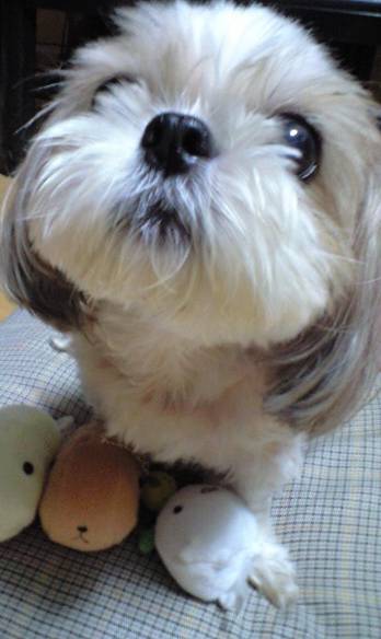 ������������⋆LBH⋆