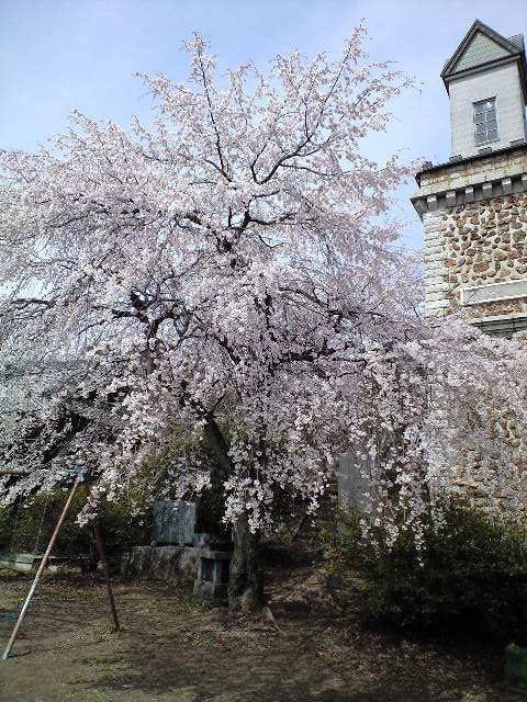 ������������⋆LBH⋆