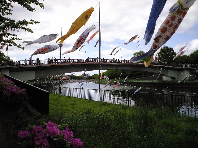 ������������⋆LBH⋆