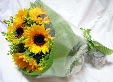 ������������⋆LBH⋆