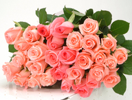 ������������⋆LBH⋆