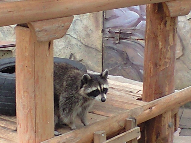 ������������⋆LBH⋆