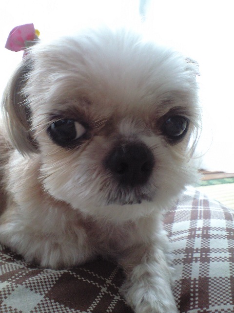 ������������⋆LBH⋆