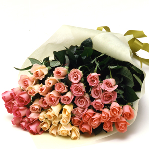 ������������⋆LBH⋆