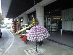 ������������⋆LBH⋆