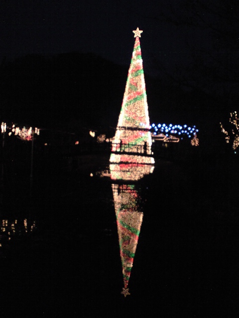 ������������⋆LBH⋆