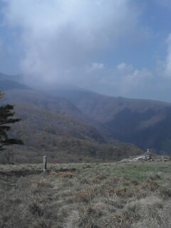 ������������⋆LBH⋆