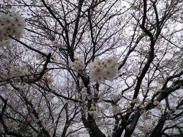 ������������⋆LBH⋆