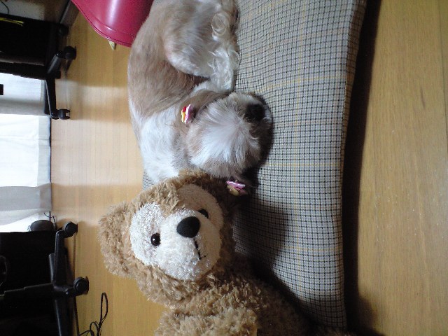 ������������⋆LBH⋆