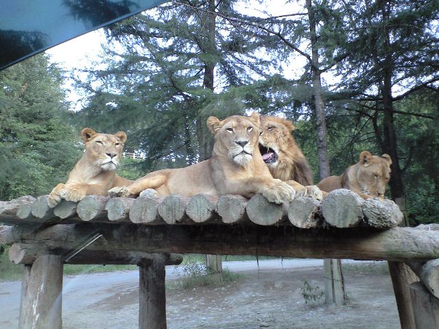 ������������⋆LBH⋆