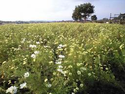 ������������⋆LBH⋆